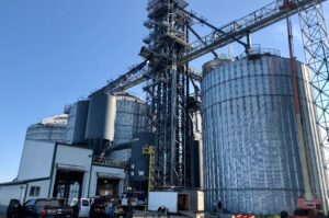 Large grain handling facility with multiple steel storage bins, grain dryer system, and overhead conveyor structure under a clear blue sky.